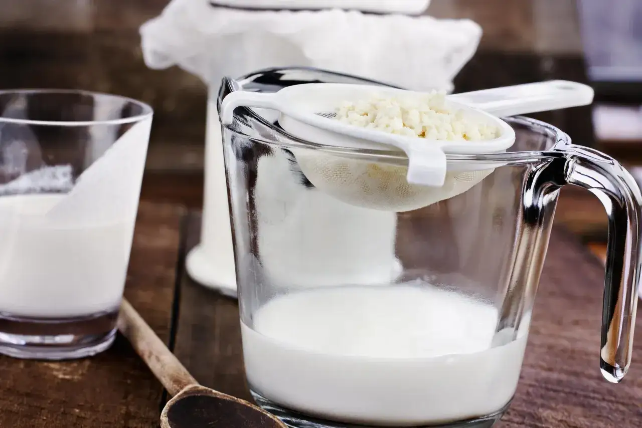 Kefir-Kulturen in einem Sieb über einem Messbecher mit Milch. So einfach kann kefir selber machen sein!