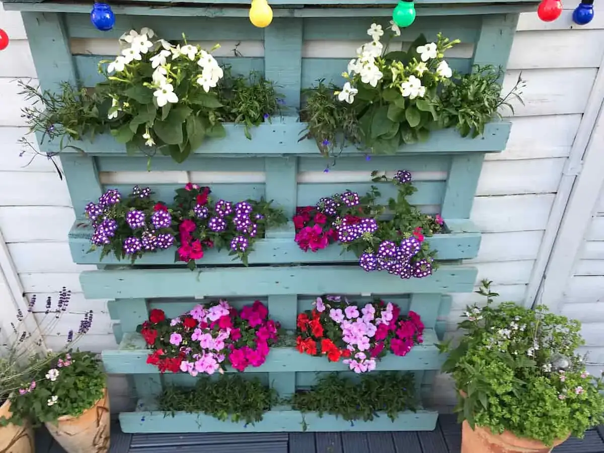 Mobili con pallet fai da te trasformati in fioriere verticali colorate, piene di fiori bianchi, viola e rosa.