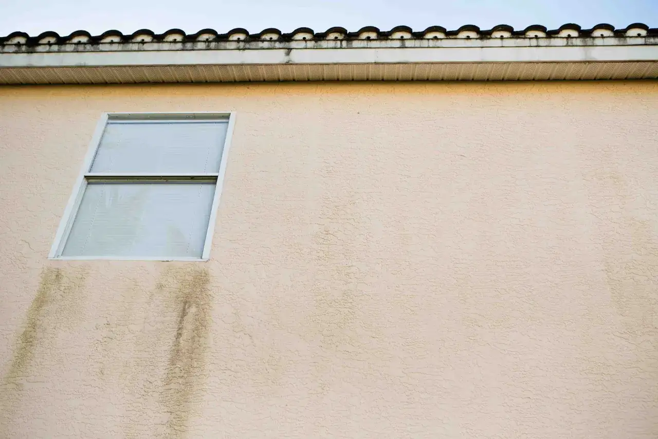 Manchas oscuras en la pared de color crema, debajo de una ventana, indican filtraciones de agua de lluvia.