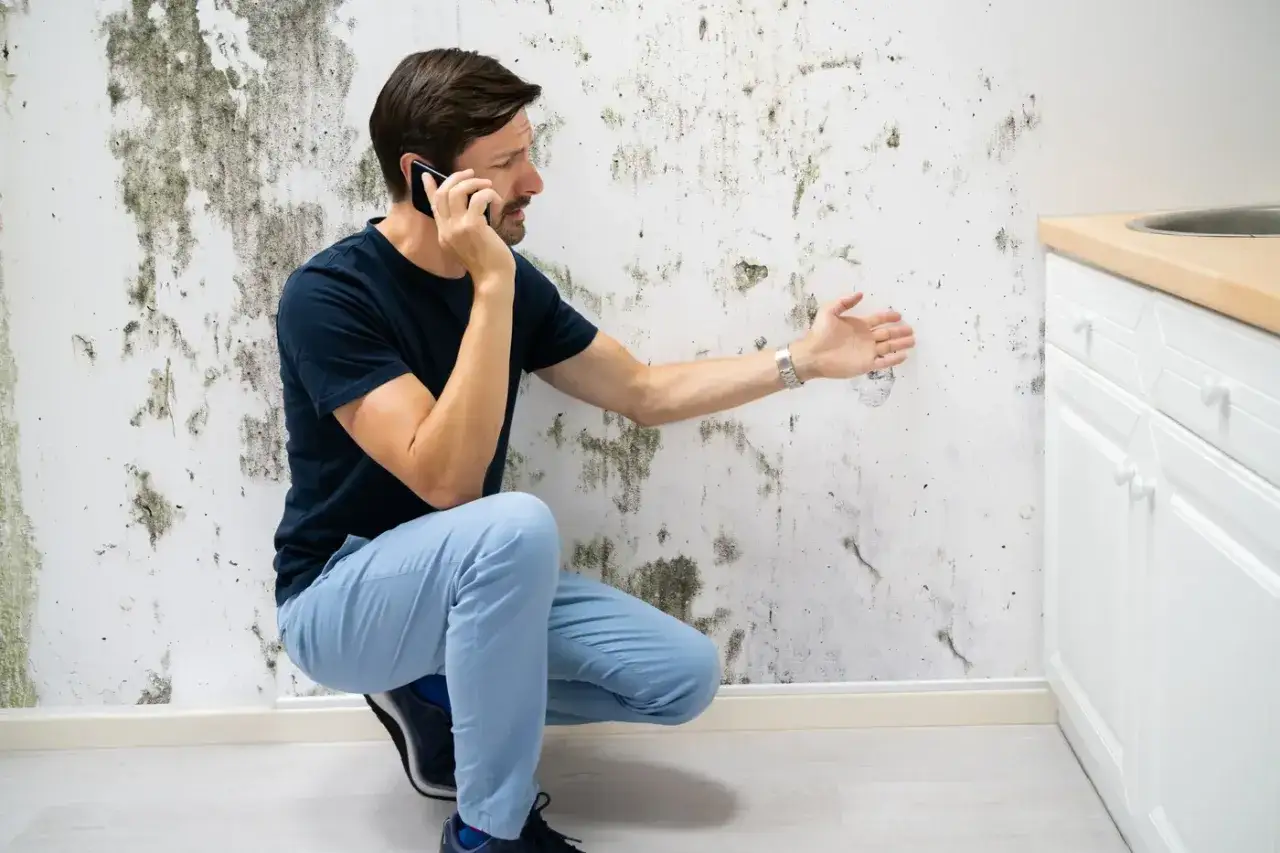 Mężczyzna rozmawia przez telefon, wskazując na zagrzybioną ścianę. Problem z wilgocią, która może wymagać ocieplenie ścian od wewnątrz.