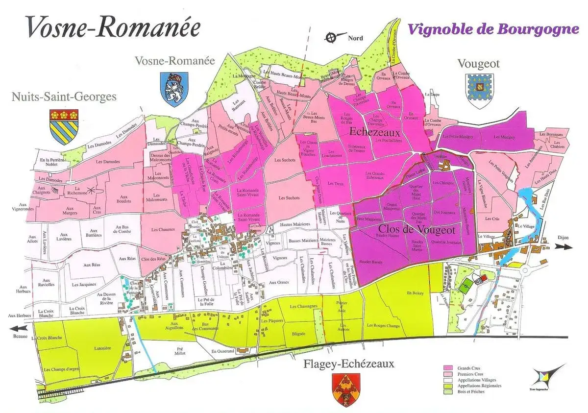 Mappa dei vigneti della Borgogna: un viaggio tra i cru di Vosne-Romanée, Vougeot e Flagey-Echezeaux, con i prestigiosi **grand cru Borgogna** evidenziati.
