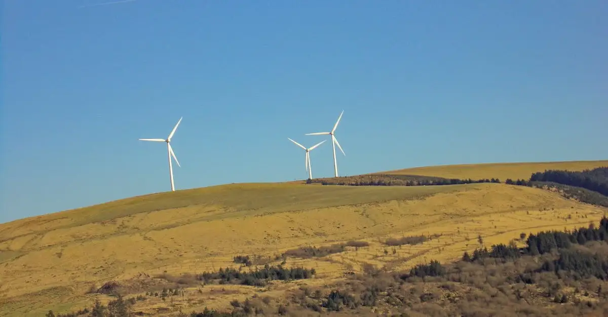  Zalety i wady elektrowni wiatrowych - co warto wiedzieć?
