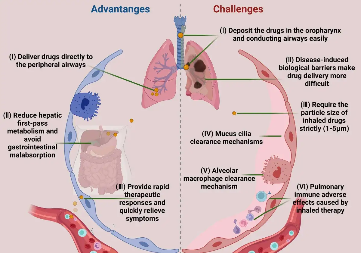 Illustration visar fördelar och utmaningar med inhalerad terapi, relevant för lungfibros behandling.