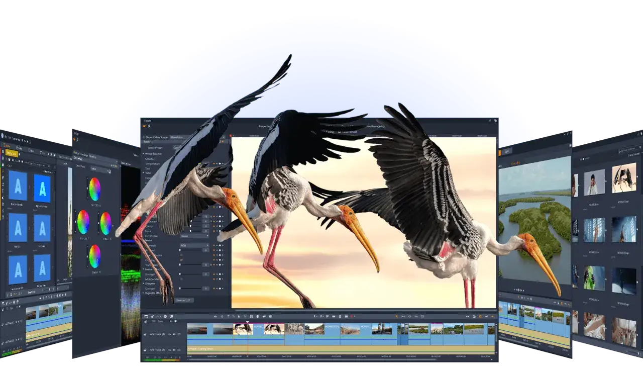 Schermate di un software di **corso editing** video con immagini di aironi e paesaggi.