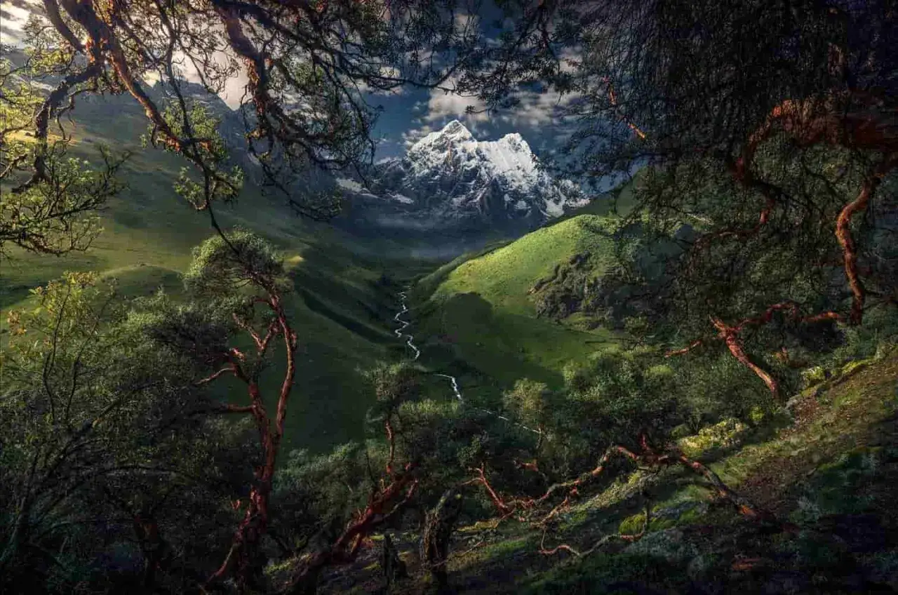 Vallée verdoyante traversée par une rivière, encadrée par des arbres tortueux. Montagne enneigée en arrière-plan. Une belle retouche photo paysage réalisée avec Photoshop.