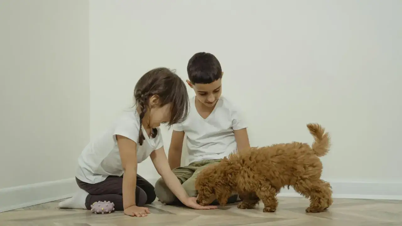 Ni&ntilde;os interactuando con un perro hiperactivo, que se inclina para comer de la mano de la ni&ntilde;a.