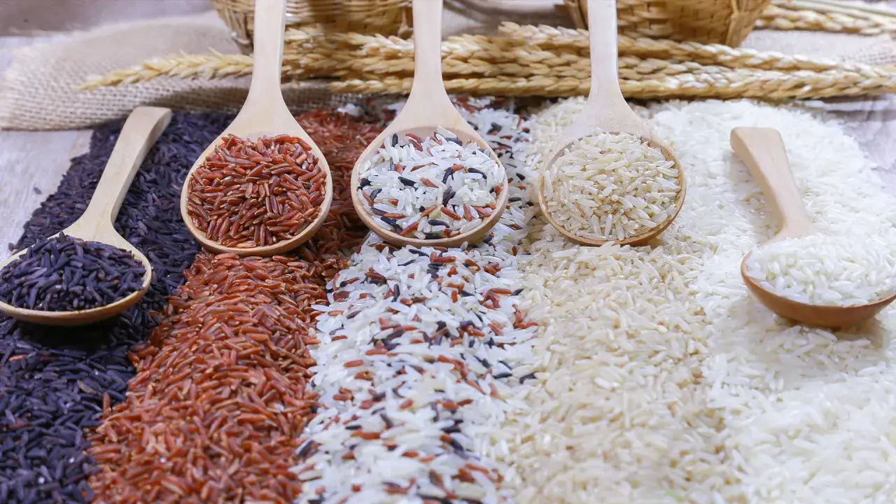 Variedad de arroces en cucharas de madera: negro, rojo, integral y blanco. Inspiraci&oacute;n para tus recetas de arroz.