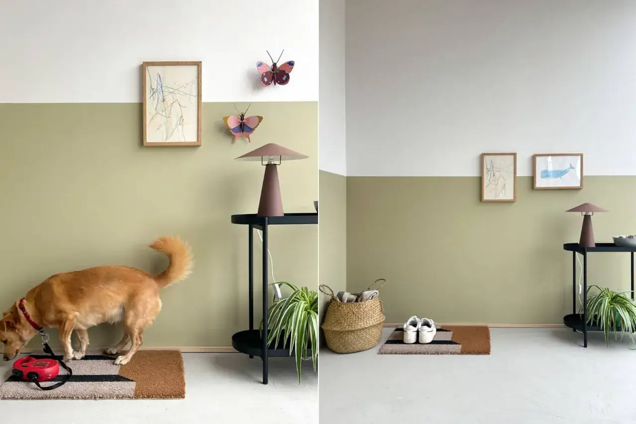Ein Hund schnüffelt an einer Leine. Die Wand ist zweifarbig gestrichen. Die Frage, ob **ist latexfarbe abwaschbar**, wird hier nicht beantwortet.
