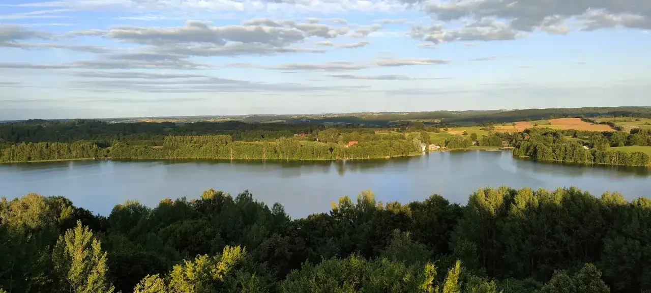Malownicze jezioro Hańcza w województwie podlaskim otoczone bujną zielenią drzew i pól.