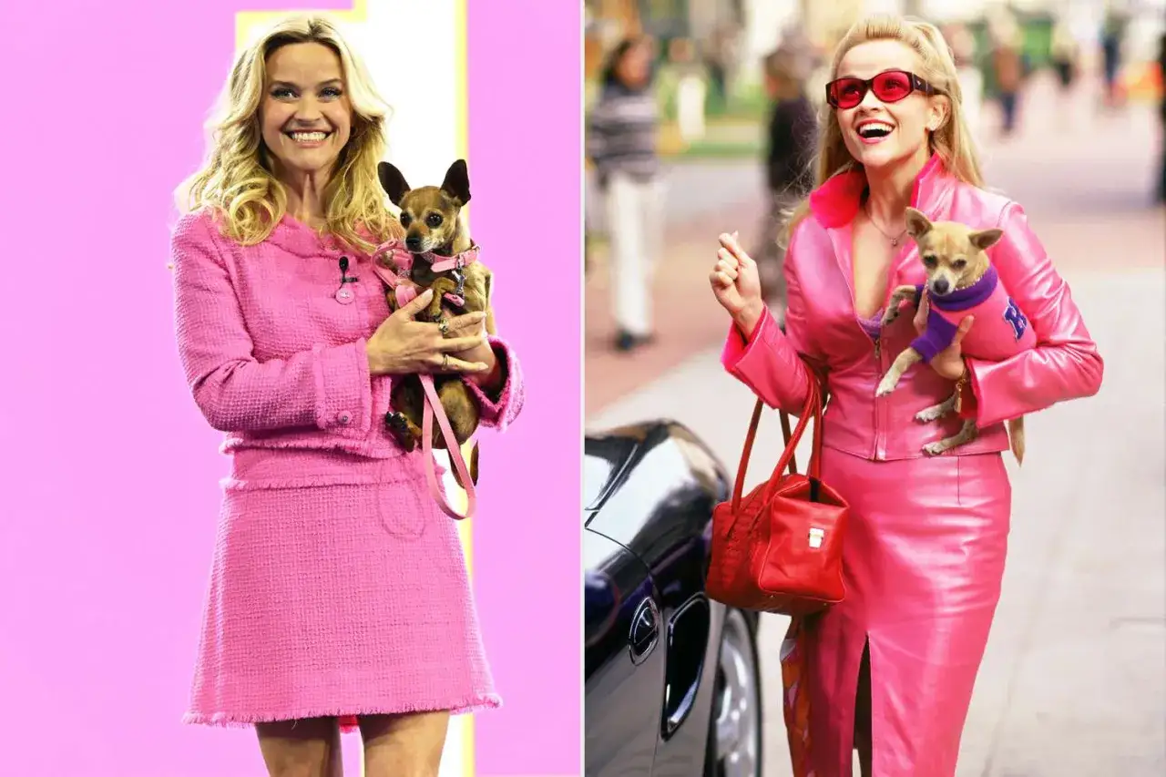 Elle Woods i rosa dräkt med sin hund. En ikonisk bild som fångar hennes stil.