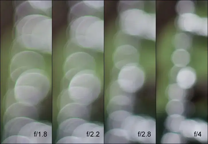 Canon EF 50mm f1.8 STM bokeh