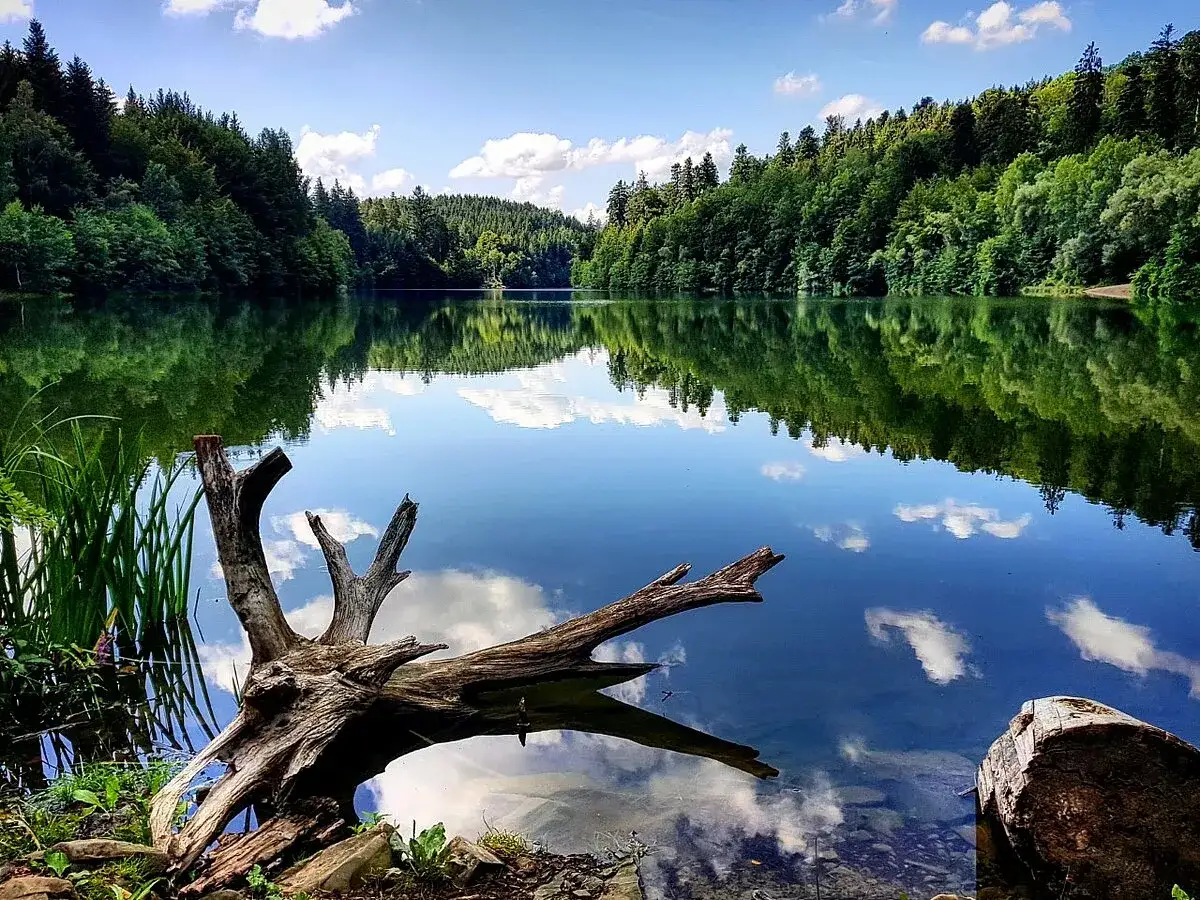 Idyllischer Herrenbachstausee, perfekt zum Angeln. Ein Baumstamm liegt am Ufer, die Spiegelung der Bäume und Wolken im Wasser ist atemberaubend.