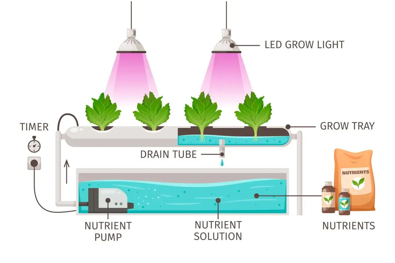 Schema över hydroponisk odling med LED-lampor, näringspump och växter i en odlingstråg.