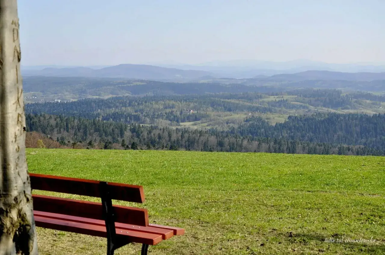 Ławka na tle malowniczego krajobrazu z lasami i wzgórzami. Idealne miejsce na odpoczynek i podziwianie widoków z szybowiska Bezmiechowa.