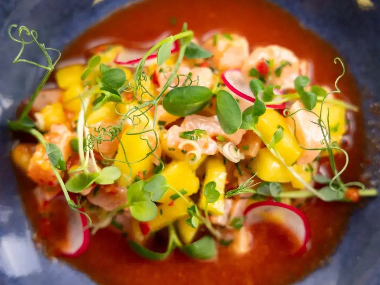 Pyszne ceviche z łososia z mango, rzodkiewką i świeżymi kiełkami, podane w sosie.