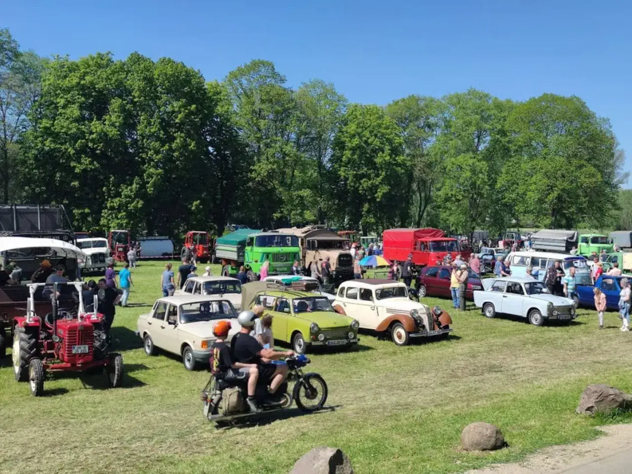 Ein sonniges Oldtimertreffen in Mecklenburg-Vorpommern mit vielen historischen Fahrzeugen, darunter Trabis, Lkw und Traktoren, auf einer grünen Wiese.