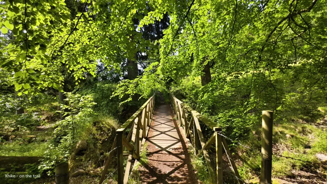 En tr&auml;bro leder genom en lummig skog, d&auml;r solljuset silar ner genom l&ouml;vverket. En idyllisk plats, kanske p&aring; v&auml;g till torpet Freden.