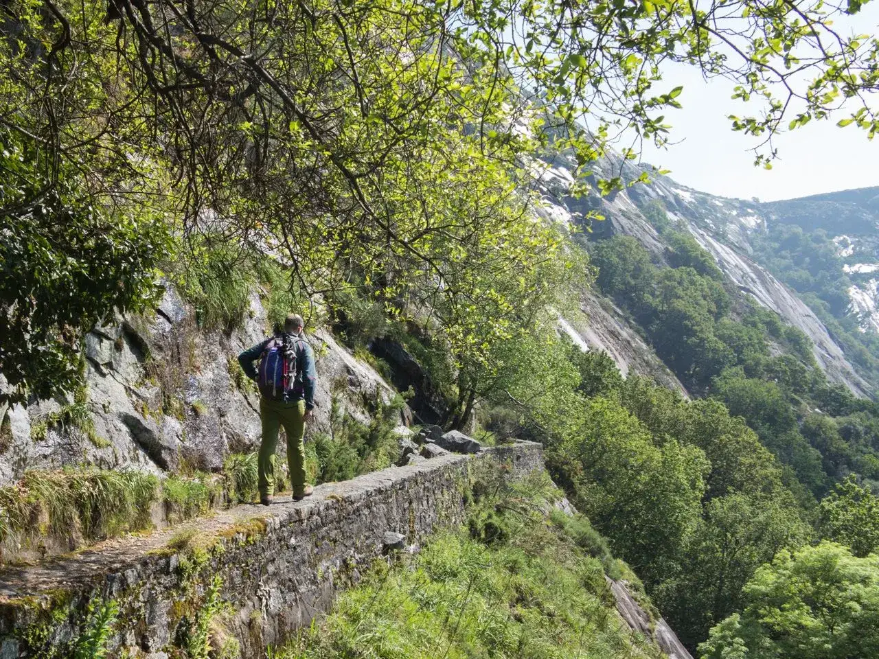 Senderista en la etapa Baiona Vigo, camina por un sendero de piedra con vistas a un monte cubierto de vegetaci&oacute;n.
