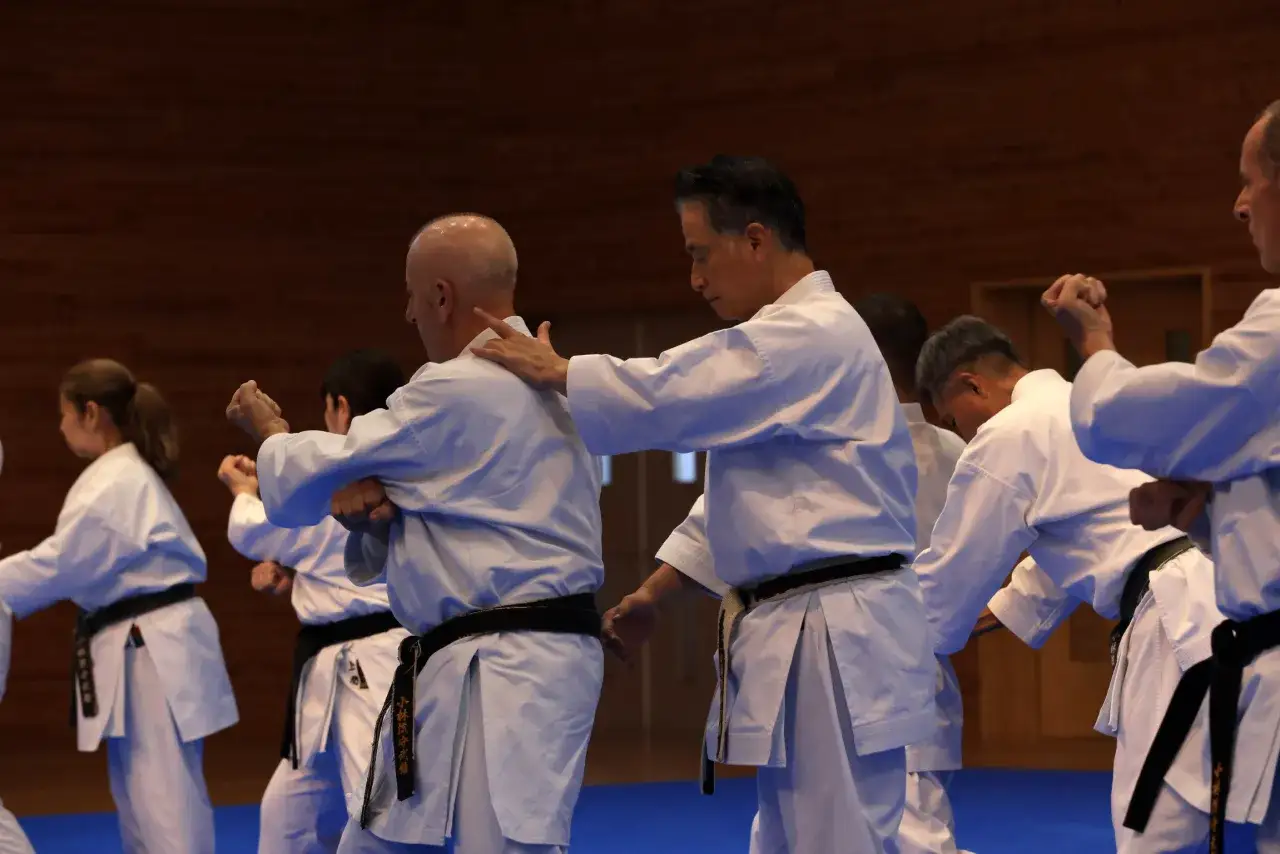 Goju ryu karate-ut&ouml;vare i vita dr&auml;kter tr&auml;nar tillsammans. En instrukt&ouml;r ger v&auml;gledning.