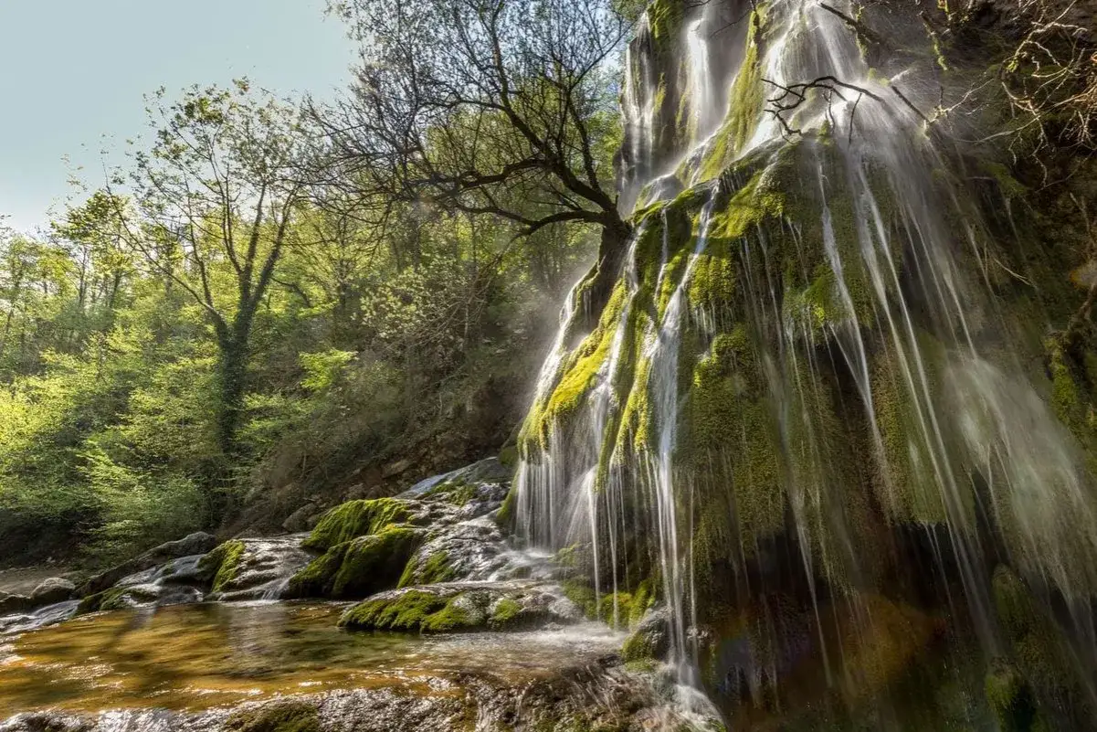 La chute de la druise, une cascade verdoyante ruisselant sur des rochers moussus, se jette dans un bassin d'eau claire au cœur d'une forêt luxuriante.