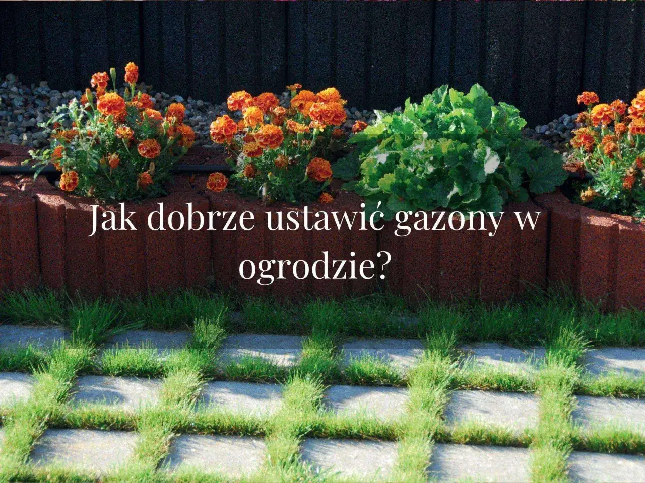 Jak dobrze ułożyć gazony w ogrodzie? Pomarańczowe kwiaty i zielone liście na tle betonowych płyt z trawą.