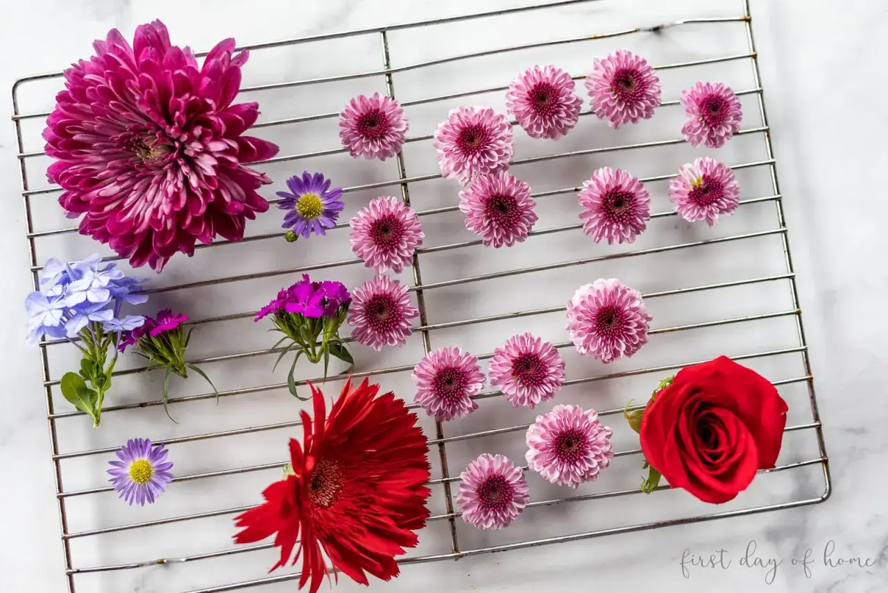 R&oacute;żne kwiaty, w tym r&oacute;ża, gerbera i chryzantemy, suszą się na metalowej kratce. To świetny spos&oacute;b, jak przechować płatki kwiat&oacute;w.