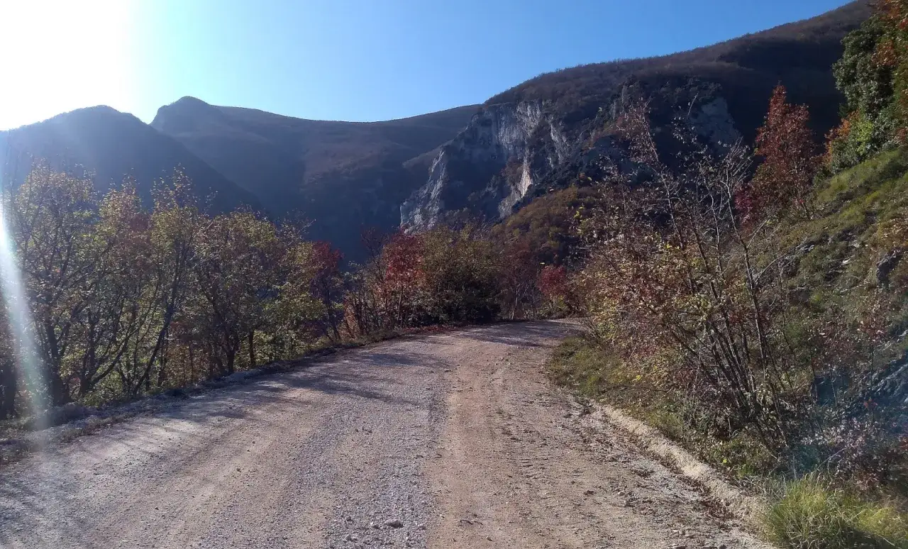 Strada sterrata in montagna, con alberi dai colori autunnali. Un sentiero che porta alla fonte Avellana, immerso nella natura.