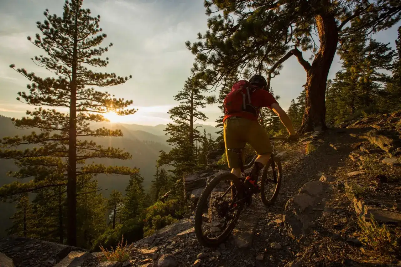 A mountain biker navigates a rocky, winding path on cross country mountain bike trails at sunset, with pine trees and a hazy mountain landscape.