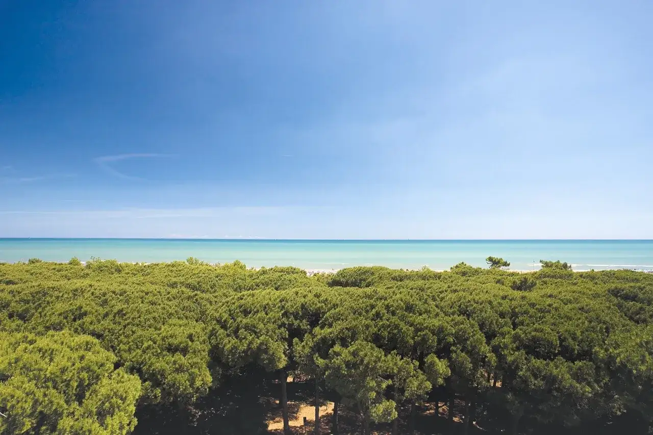 Vasta pineta verdeggiante che si estende fino al mare azzurro e al cielo limpido, un'immagine da cartolina della cervia strand.