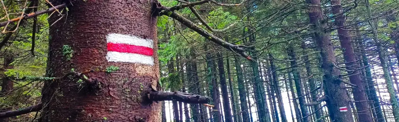 znakarz PTTK przy pracy w g&oacute;rach