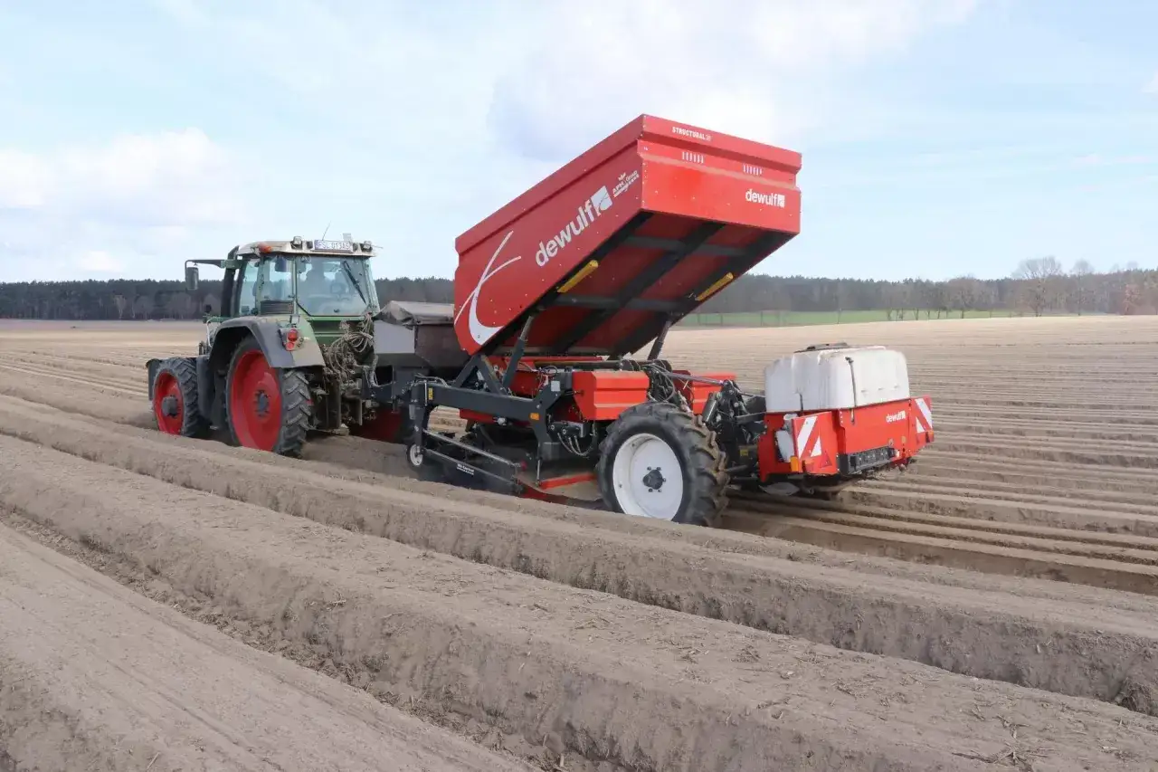 Traktor z sadzarką Dewulf wykonuje sadzenie ziemniaków na polu.