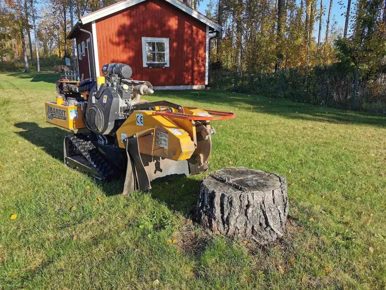En gul stubbfr&auml;s st&aring;r redo att ta bort stubbe p&aring; en gr&auml;smatta framf&ouml;r ett r&ouml;tt hus.