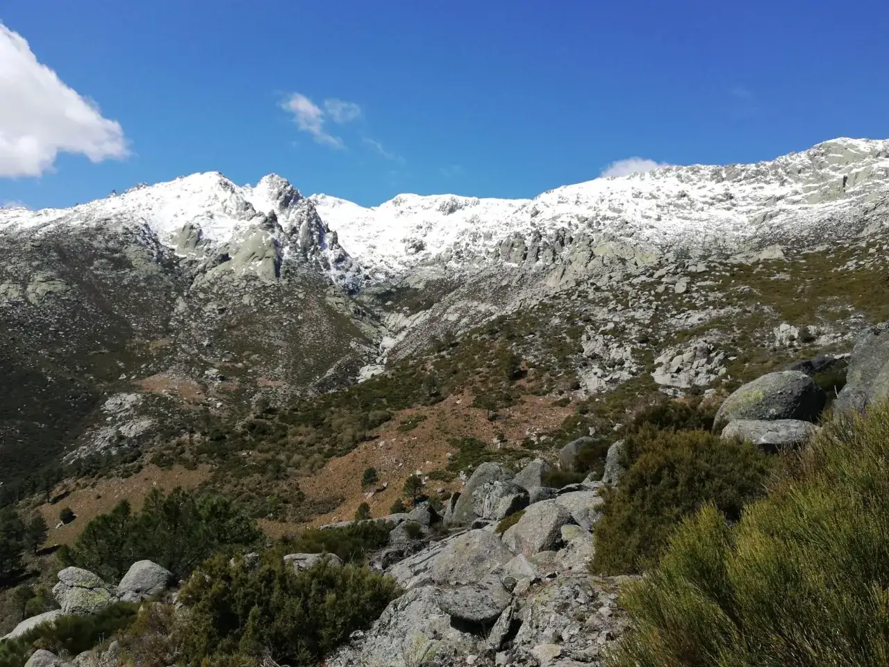 Schneebedeckte Gipfel der Sierra de Gredos unter blauem Himmel. Felsige H&auml;nge mit sp&auml;rlicher Vegetation.