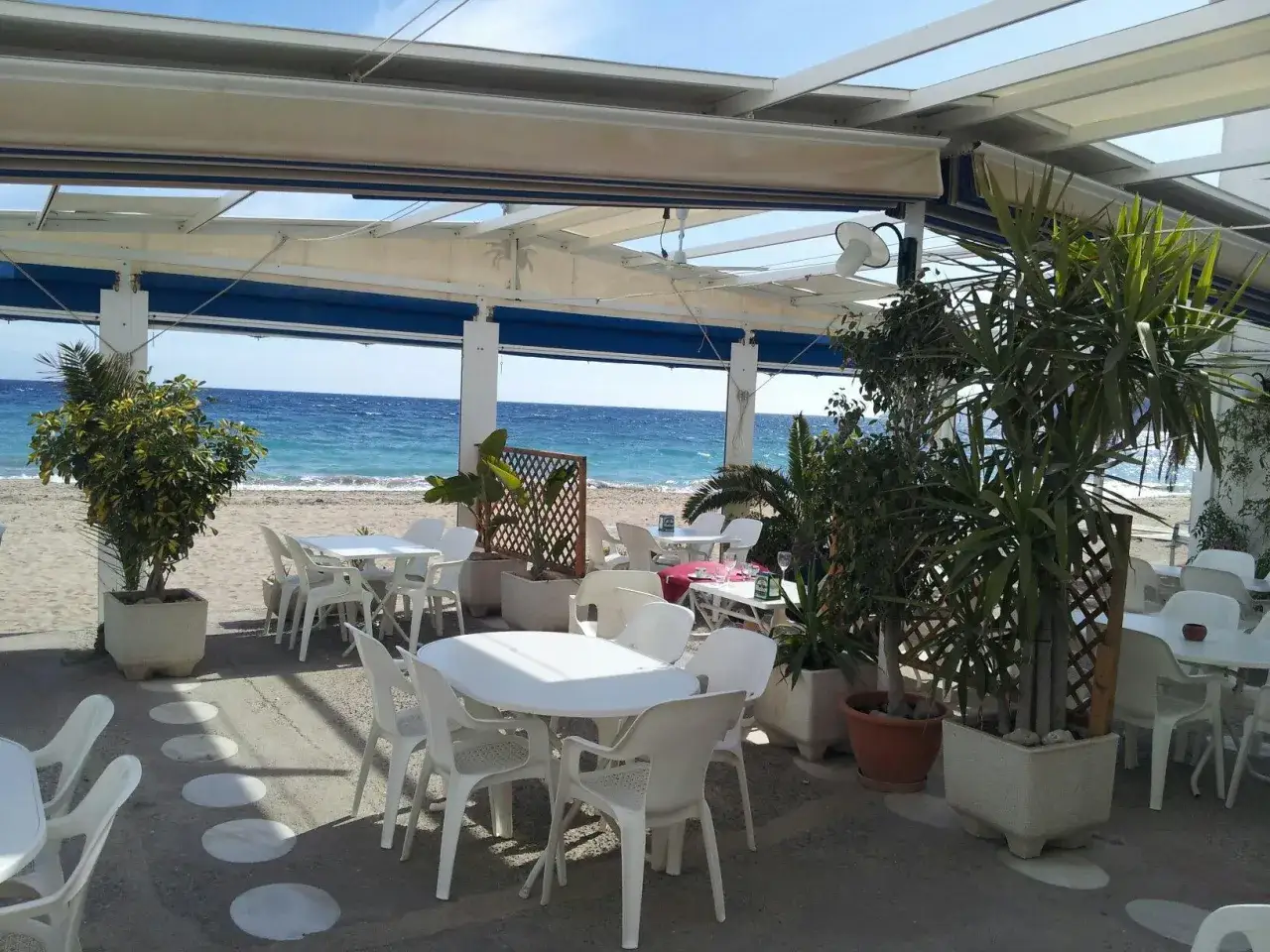 Mesas y sillas blancas en un **aguamarga bar** frente al mar azul. Plantas verdes decoran el espacio.