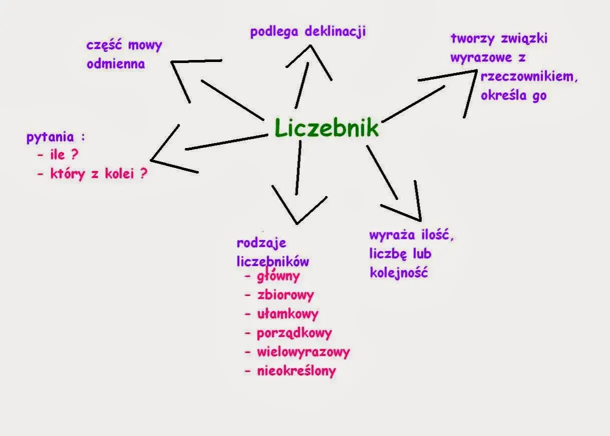Mapa myśli o liczebniku: część mowy, odmienna, podlega deklinacji, wyraża ilość, liczbę lub kolejność, tworzy związki z rzeczownikiem. Pytania: ile? który z kolei? Rodzaje: główny, zbiorowy, ułamkowy, porządkowy, wielowyrazowy, nieokreślony.