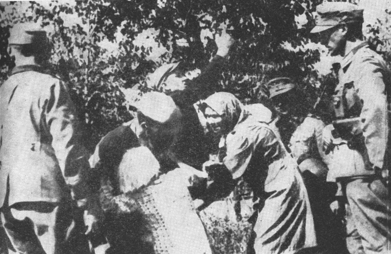 Grupa ludzi w mundurach i cywilnych ubraniach, wśród nich kobiety. Scena może nawiązywać do historii Lebensborn, co to było i jak wpływało na losy ludzi.