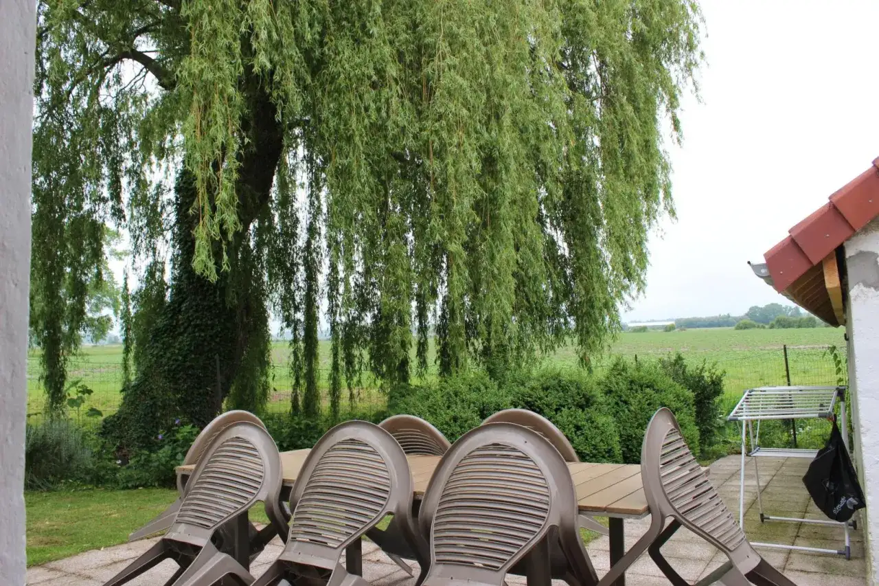 Terrasse de la ferme de Bihen sous un saule pleureur, avec table et chaises en plastique, et un paysage champêtre en arrière-plan.