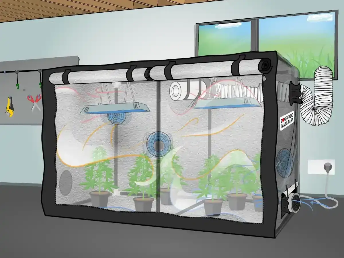 Tenda da coltivazione con luci, ventilatori e piante. Un sistema per la prima klima controllata, ideale per la crescita.