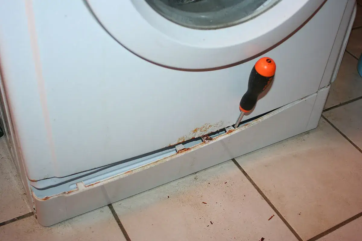 La ruggine e i detriti indicano cosa succede se il filtro della lavatrice &egrave; sporco, con un cacciavite che tenta di rimuovere la guarnizione.