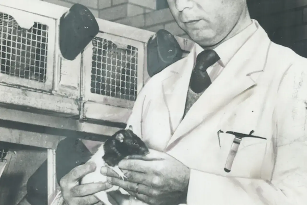 Badacz, być może **Hans Selye**, trzyma w dłoniach szczura, w tle klatki laboratoryjne.