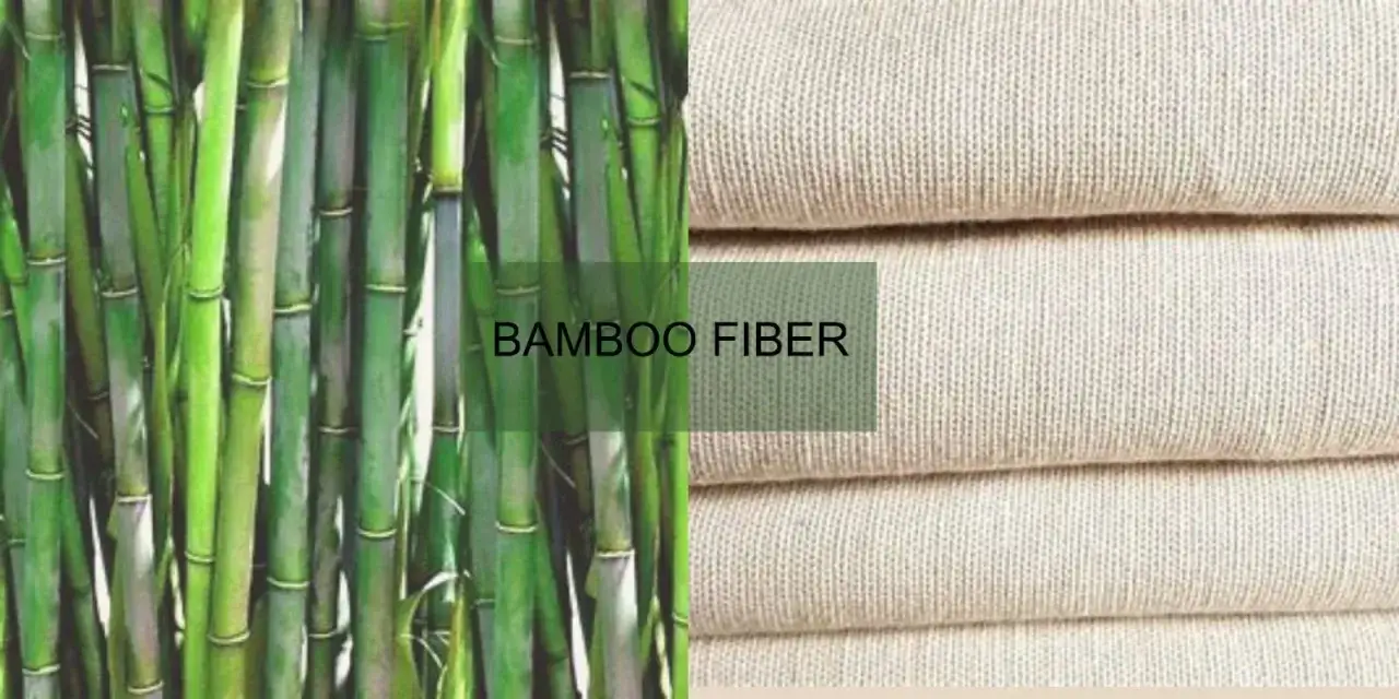 A lush bamboo forest meets stacks of soft, natural fiber fabric, showcasing how bamboo is a natural fiber.