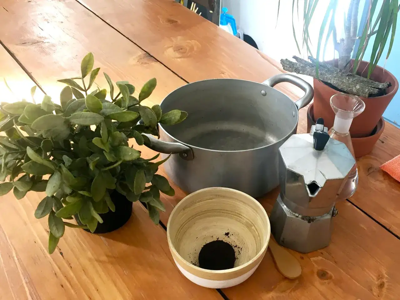 Preparativi per come invecchiare il legno con il caff&egrave;: moka, pentola, ciotola con fondi di caff&egrave;, pianta e un piccolo spruzzino.