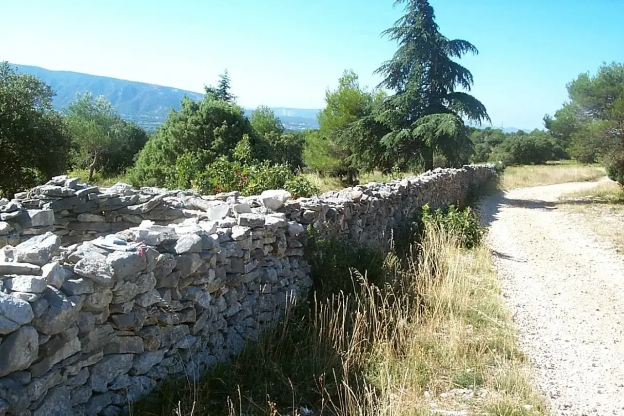 Un ancien mur de la peste, construit en pierres s&egrave;ches, borde un chemin de terre bord&eacute; d'herbes hautes et d'arbres.