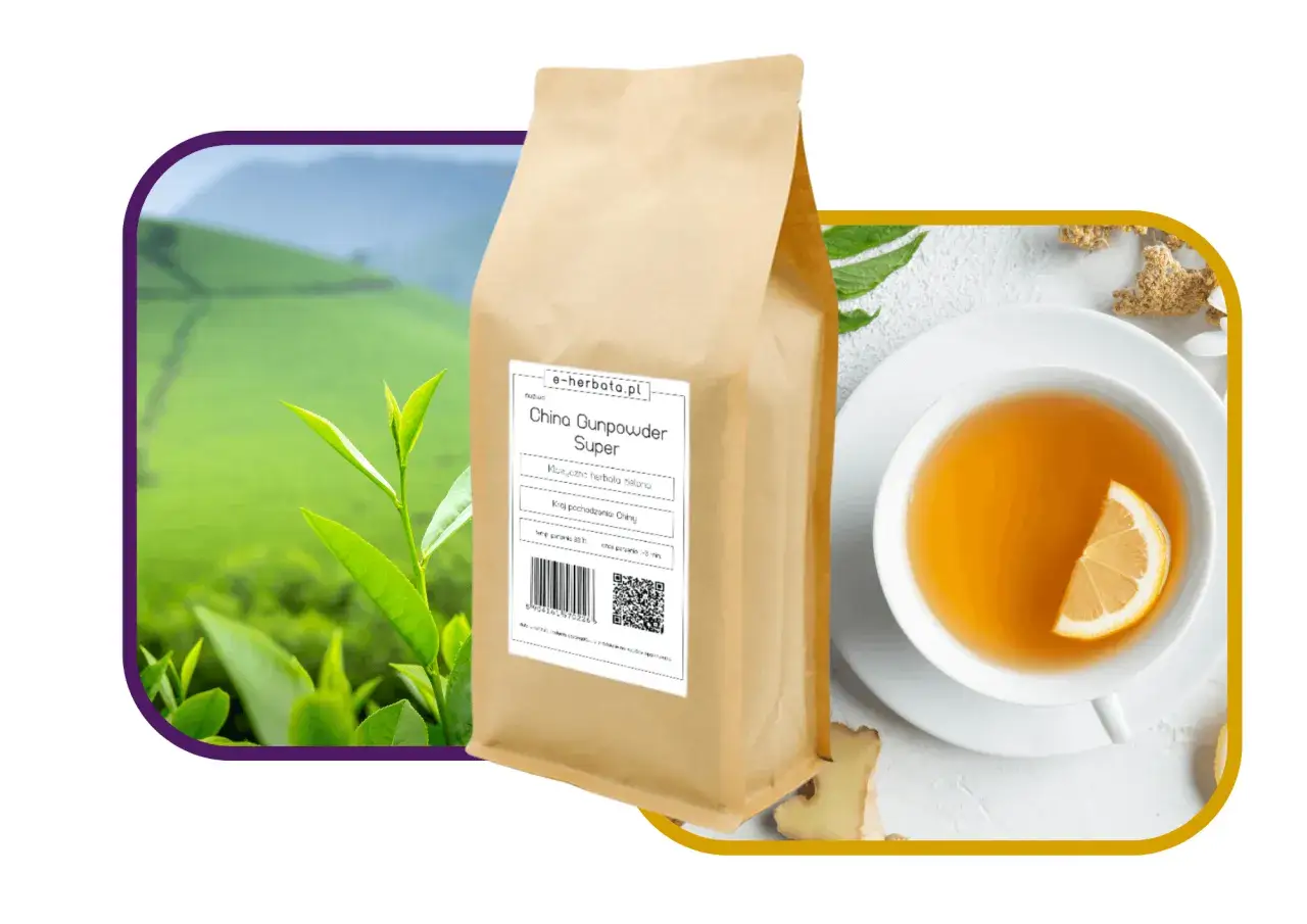 różne gatunki zielonej herbaty liściastej, japońska sencha, chiński gunpowder