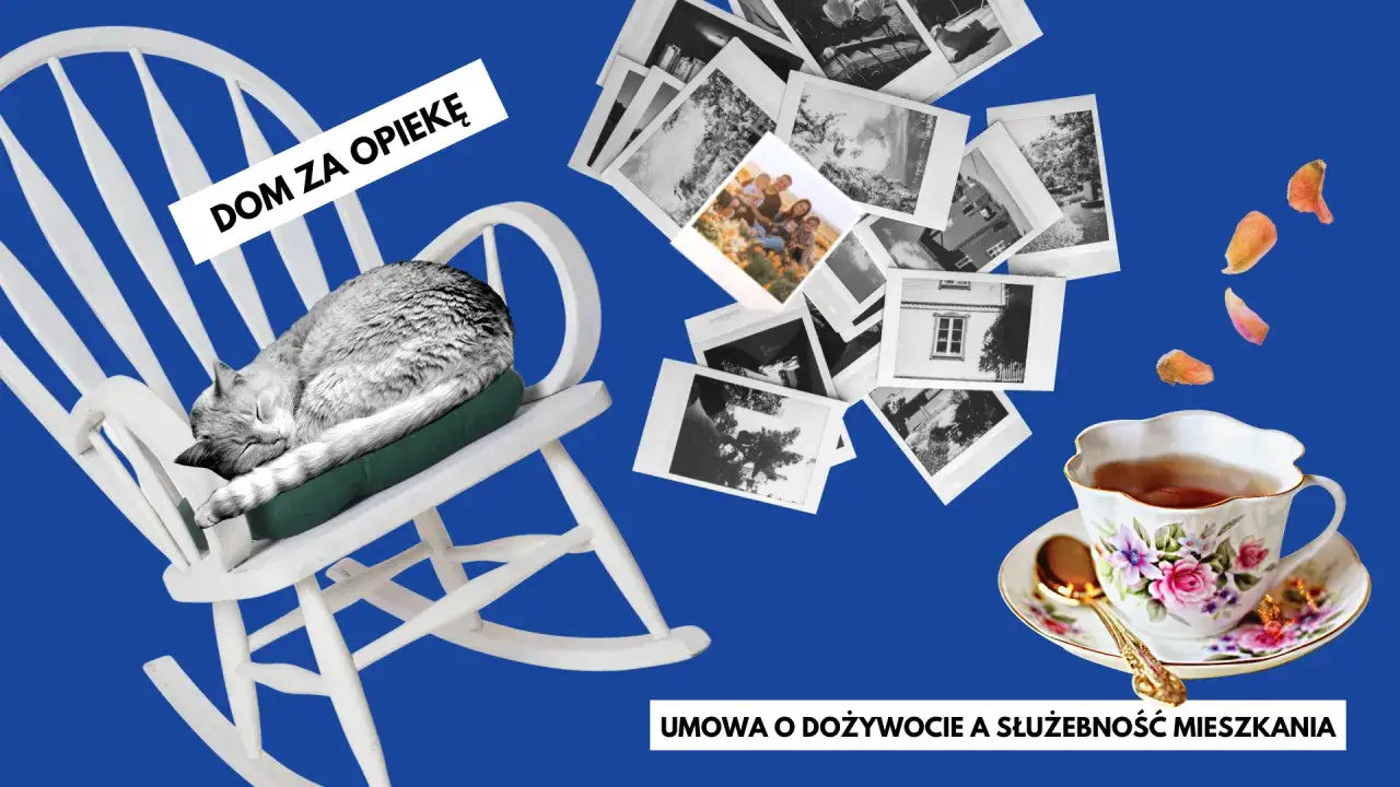 Porównanie służebności mieszkania i umowy dożywocia infografika