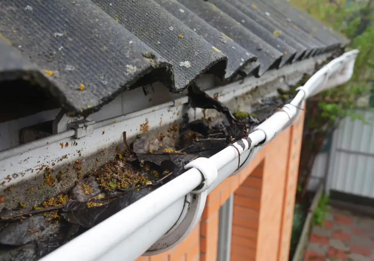 Goutti&egrave;re obstru&eacute;e par des feuilles mortes et des d&eacute;bris, n&eacute;cessitant un nettoyage pour **d&eacute;boucher la goutti&egrave;re**.