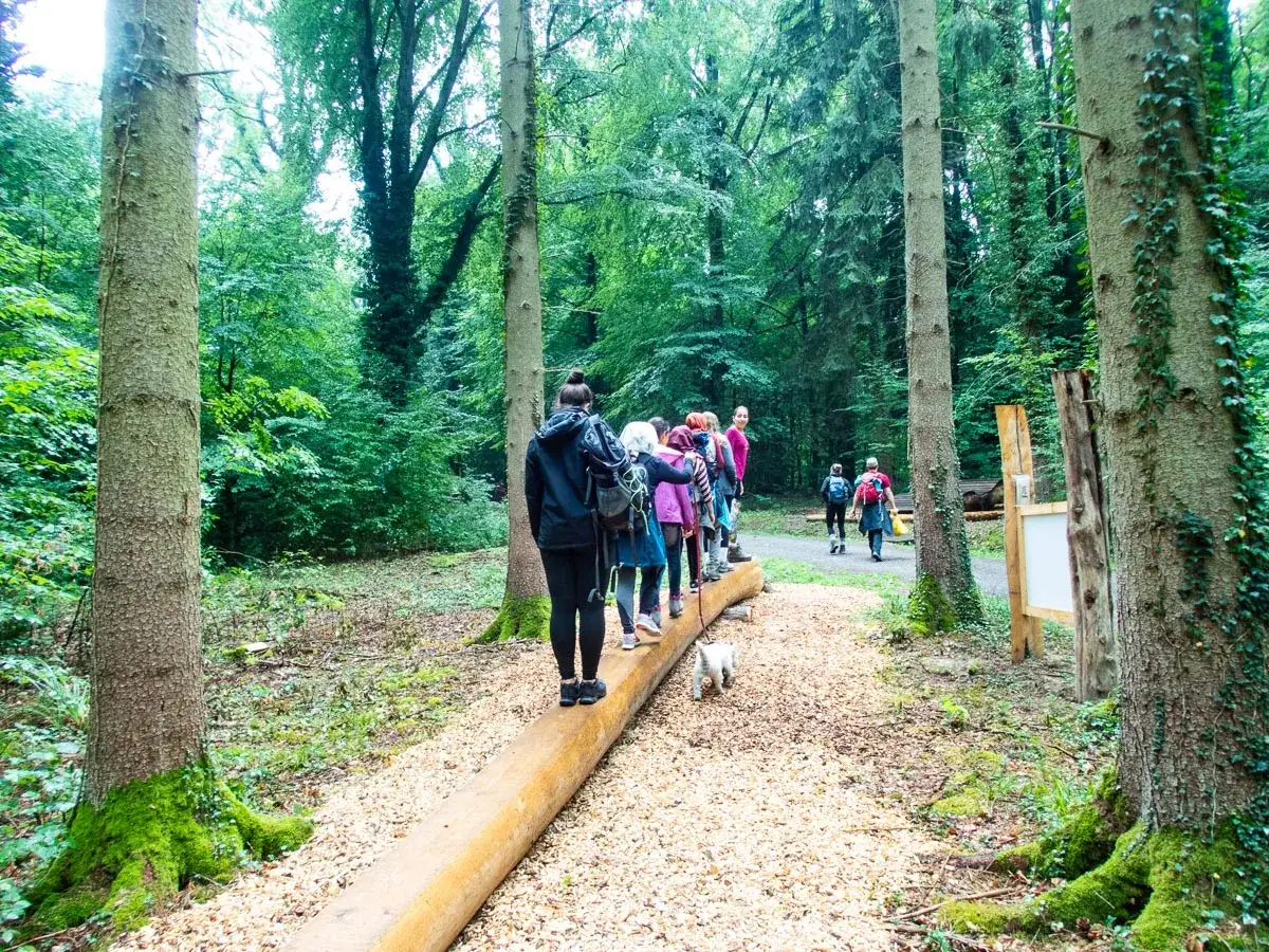 Eine Gruppe wandert auf einem **hardy pfad** durch einen &uuml;ppigen Wald. Ein kleiner Hund folgt ihnen.