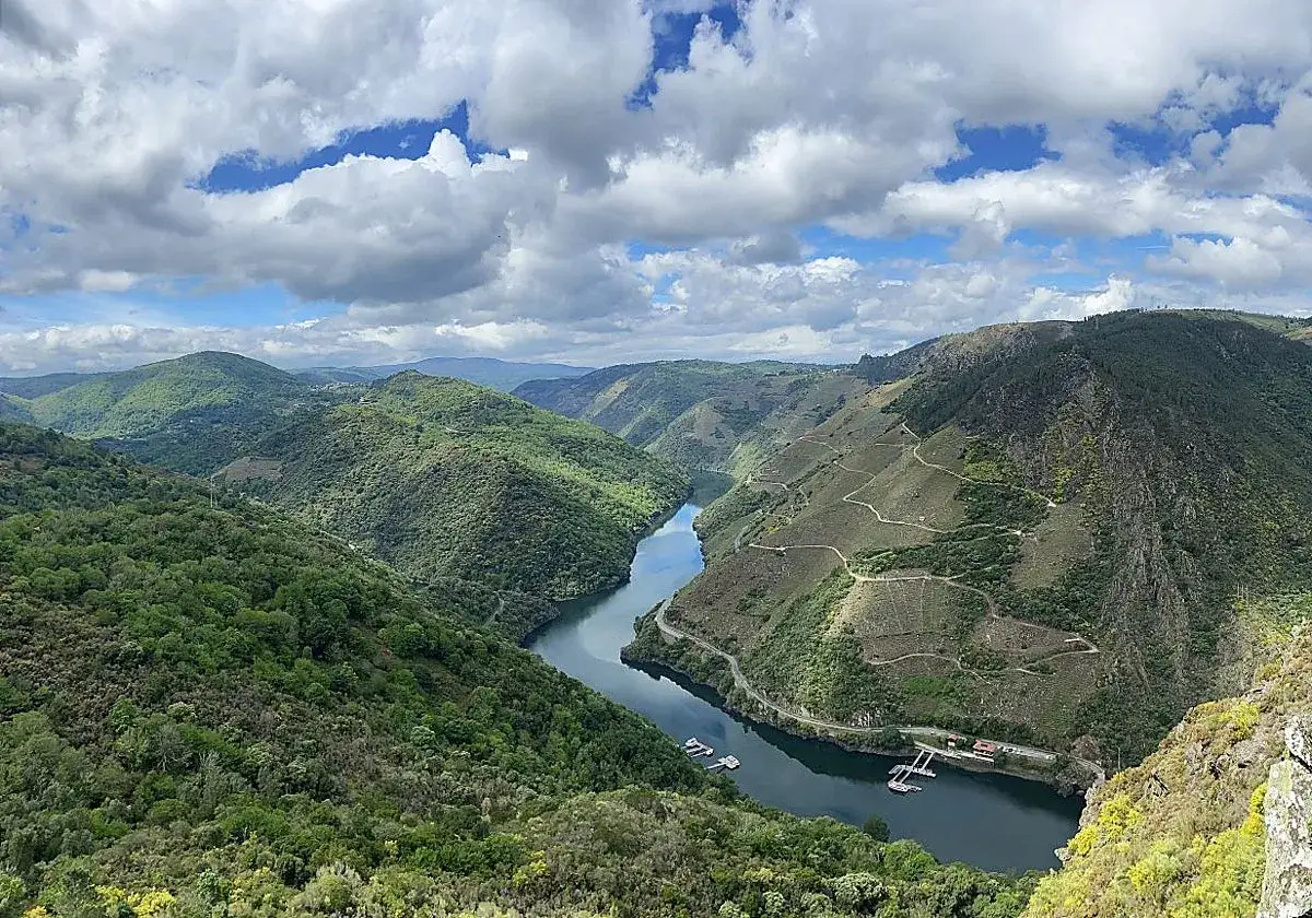 Un río serpentea entre colinas verdes y empinadas, con viñedos en terrazas, bajo un cielo nublado. Paisaje de Santo Estevo de Ribas de Miño.