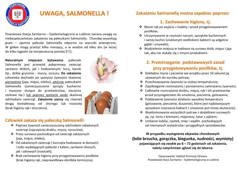 Higiena w kuchni zapobieganie salmonelli