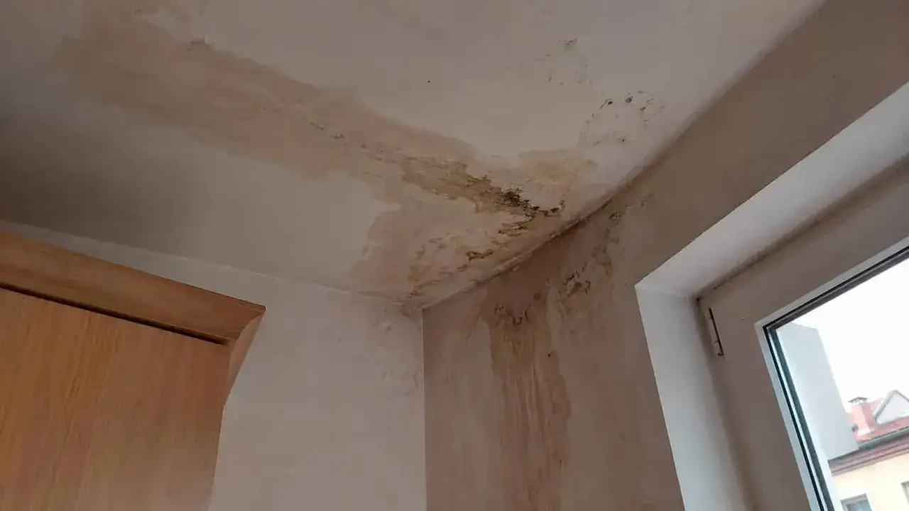 Zacieki i pleśń na suficie i ścianie. To dowód na to, że ubezpieczyciel odmówił wypłaty odszkodowania.